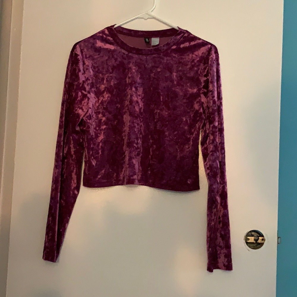 Super Soft Burgundy Velvet Crop Top